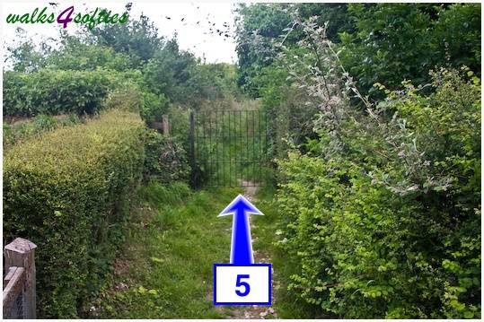 Walking direction photo: 5 for walk Maiden Castle, The Brewers Arms, Martinstown, Dorset.