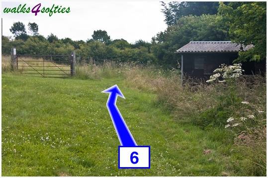 Walk direction photograph: 6 for walk Maiden Castle, The Brewers Arms, Martinstown, Dorset, South West England.