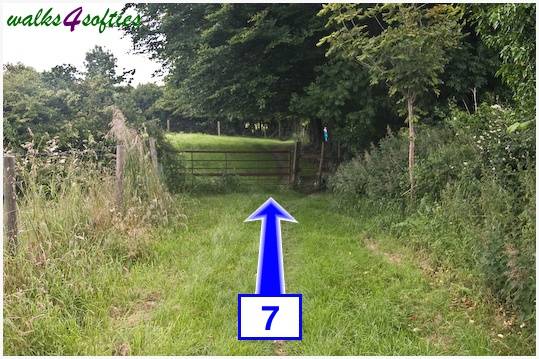 Walking direction photo: 7 for walk Maiden Castle, The Brewers Arms, Martinstown, Dorset.