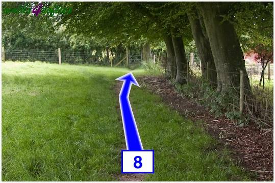 Walk direction photograph: 8 for walk Maiden Castle, The Brewers Arms, Martinstown, Dorset, South West England.