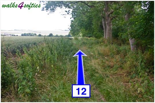 Walk direction photograph: 12 for walk Maiden Castle, The Brewers Arms, Martinstown, Dorset, South West England.