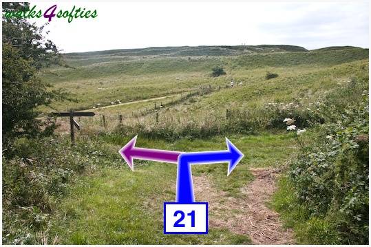Walking direction photo: 21 for walk Maiden Castle, The Brewers Arms, Martinstown, Dorset.