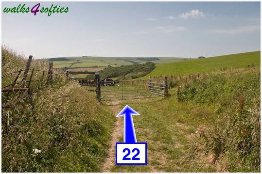 Walk direction photograph: 22 for walk Maiden Castle, The Brewers Arms, Martinstown, Dorset, South West England.