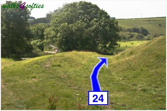 Walk direction photograph: 24 for walk Maiden Castle, The Brewers Arms, Martinstown, Dorset, South West England.