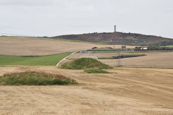 Picture, Photo, View of The Brewers Arms, Martinstown, Dorset