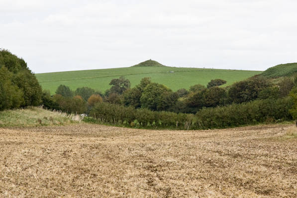 Picture, Photo, View of The Brewers Arms, Martinstown, Dorset