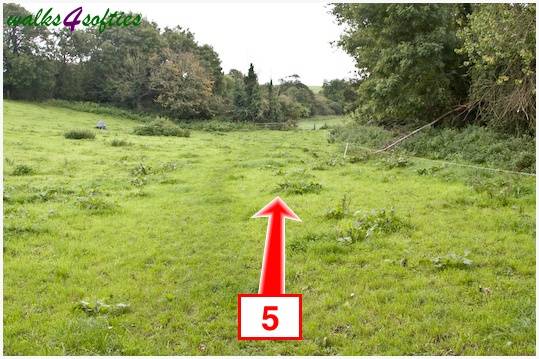 Walking direction photo: 5 for walk The Inland Coast Path, The Brewers Arms, Martinstown, Dorset.