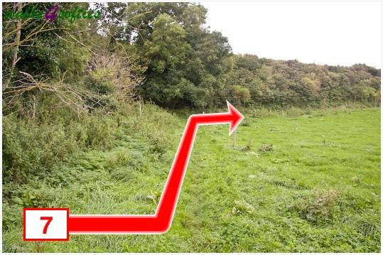 Walking direction photo: 7 for walk The Inland Coast Path, The Brewers Arms, Martinstown, Dorset.