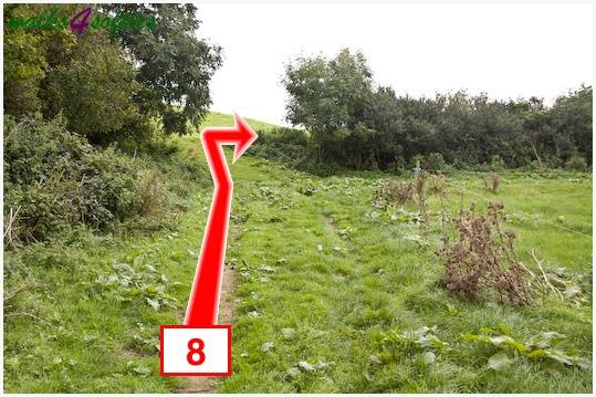 Walk direction photograph: 8 for walk The Inland Coast Path, The Brewers Arms, Martinstown, Dorset, South West England.