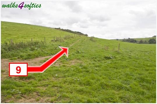 Walking direction photo: 9 for walk The Inland Coast Path, The Brewers Arms, Martinstown, Dorset.