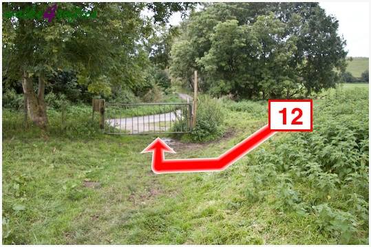 Walk direction photograph: 12 for walk The Inland Coast Path, The Brewers Arms, Martinstown, Dorset, South West England.