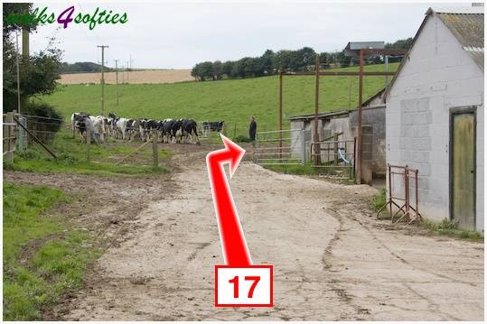 Walking direction photo: 17 for walk The Inland Coast Path, The Brewers Arms, Martinstown, Dorset.