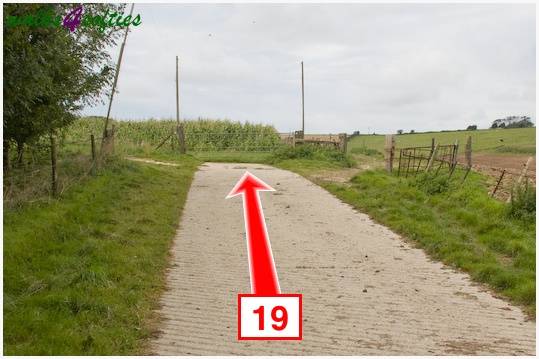 Walking direction photo: 19 for walk The Inland Coast Path, The Brewers Arms, Martinstown, Dorset.