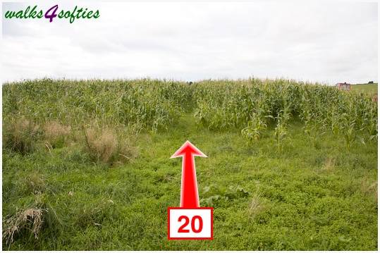 Walk direction photograph: 20 for walk The Inland Coast Path, The Brewers Arms, Martinstown, Dorset, South West England.