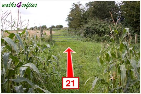 Walking direction photo: 21 for walk The Inland Coast Path, The Brewers Arms, Martinstown, Dorset.