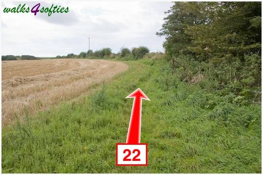 Walk direction photograph: 22 for walk The Inland Coast Path, The Brewers Arms, Martinstown, Dorset, South West England.