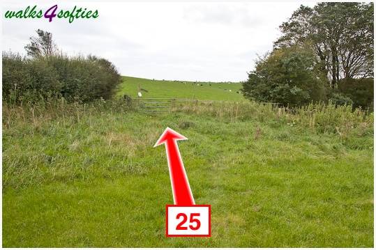 Walking direction photo: 25 for walk The Inland Coast Path, The Brewers Arms, Martinstown, Dorset.