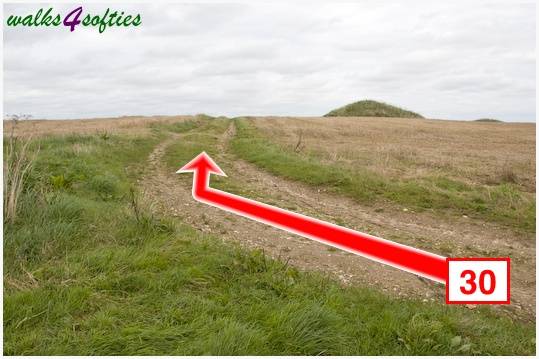 Walk direction photograph: 30 for walk The Inland Coast Path, The Brewers Arms, Martinstown, Dorset, South West England.