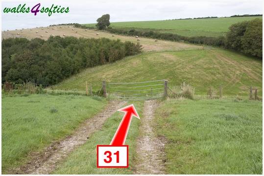 Walking direction photo: 31 for walk The Inland Coast Path, The Brewers Arms, Martinstown, Dorset.