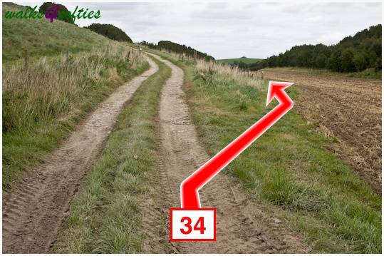 Walk direction photograph: 34 for walk The Inland Coast Path, The Brewers Arms, Martinstown, Dorset, South West England.