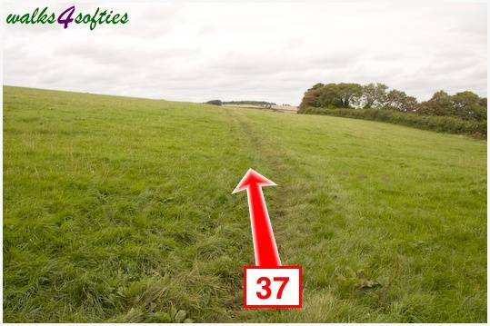 Walking direction photo: 37 for walk The Inland Coast Path, The Brewers Arms, Martinstown, Dorset.