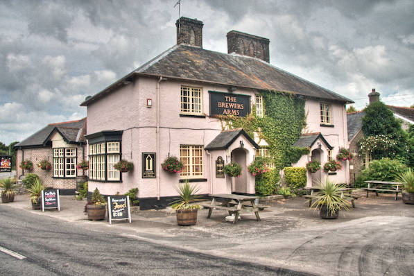 Picture, Photo, View of The Brewers Arms, Martinstown, Dorset