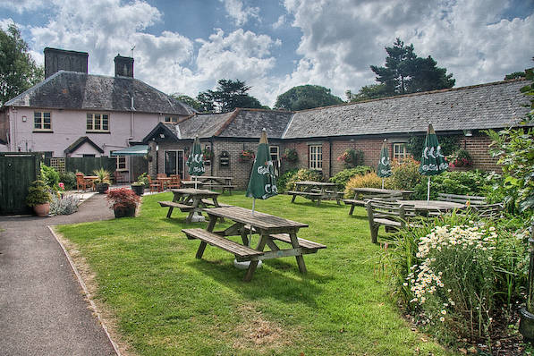 Picture, Photo, View of The Brewers Arms, Martinstown, Dorset