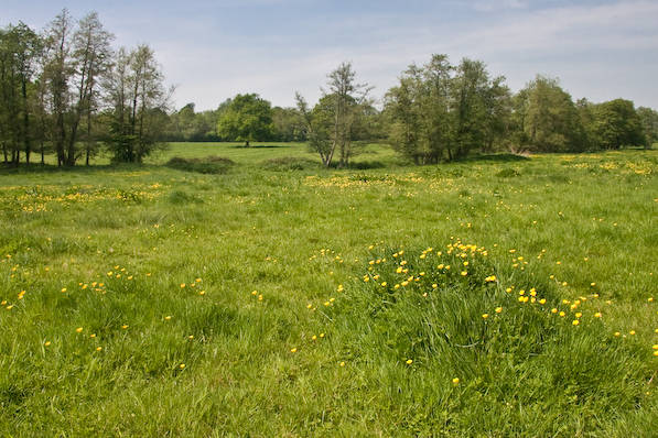 Picture, Photo, View of Old Wardour Castle, Wiltshire