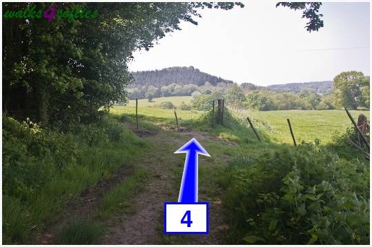 Walk direction photograph: 4 for walk Around Wardour, Old Wardour Castle, Wiltshire, South West England.