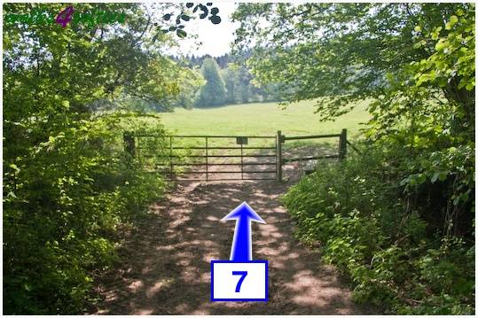 Walking direction photo: 7 for walk Around Wardour, Old Wardour Castle, Wiltshire.