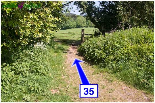 Walking direction photo: 35 for walk Around Wardour, Old Wardour Castle, Wiltshire.