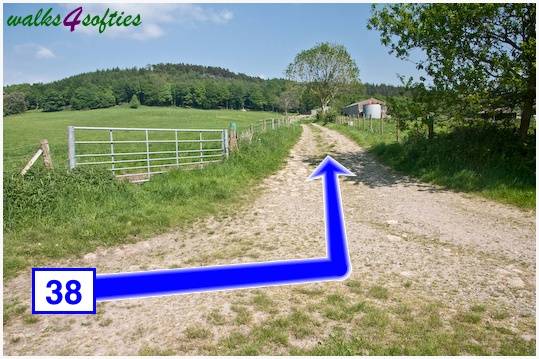 Walk direction photograph: 38 for walk Around Wardour, Old Wardour Castle, Wiltshire, South West England.