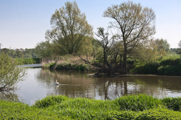 Picture, Photo, View of The Anchor @ Shapwick, Dorset