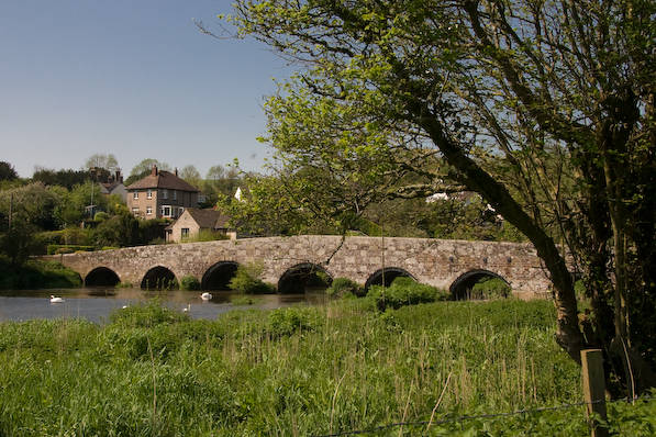Picture, Photo, View of The Anchor @ Shapwick, Dorset