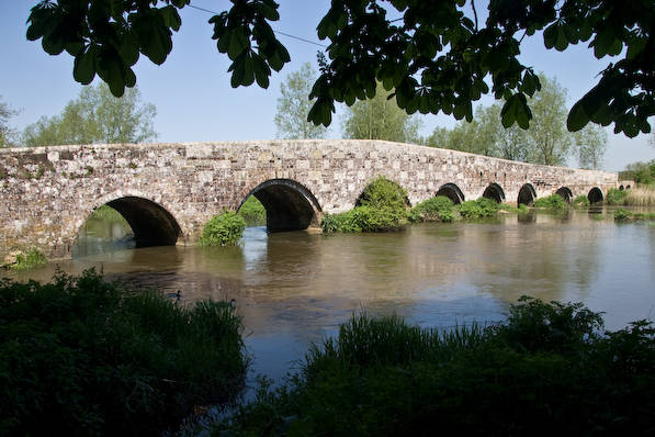Picture, Photo, View of The Anchor @ Shapwick, Dorset