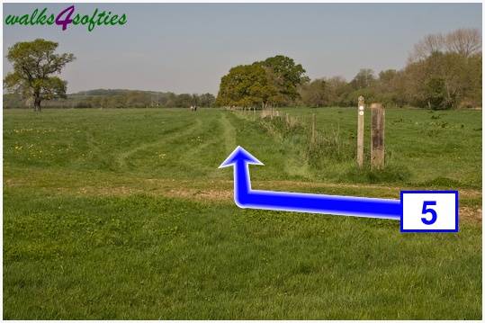 Walking direction photo: 5 for walk Tarrant Crawford, The Anchor @ Shapwick, Dorset.