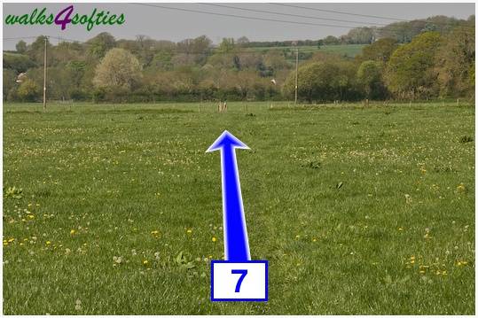 Walking direction photo: 7 for walk Tarrant Crawford, The Anchor @ Shapwick, Dorset.