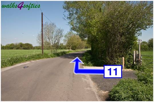 Walking direction photo: 11 for walk Tarrant Crawford, The Anchor @ Shapwick, Dorset.