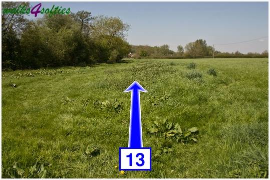 Walking direction photo: 13 for walk Tarrant Crawford, The Anchor @ Shapwick, Dorset.