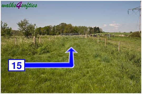 Walking direction photo: 15 for walk Tarrant Crawford, The Anchor @ Shapwick, Dorset.