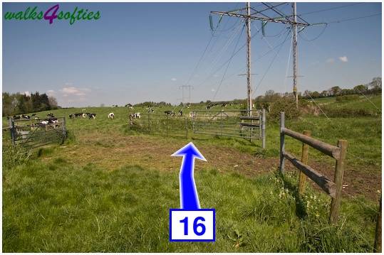 Walk direction photograph: 16 for walk Tarrant Crawford, The Anchor @ Shapwick, Dorset, South West England.