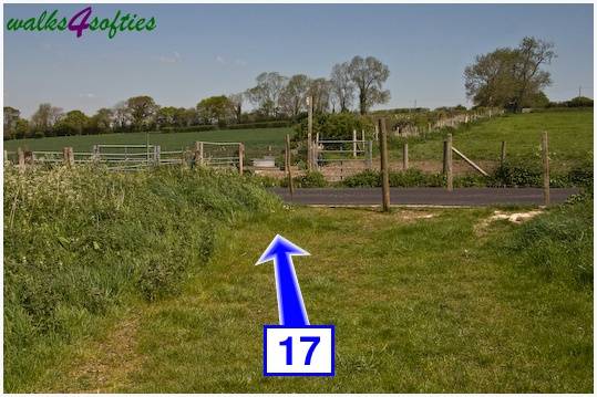 Walking direction photo: 17 for walk Tarrant Crawford, The Anchor @ Shapwick, Dorset.