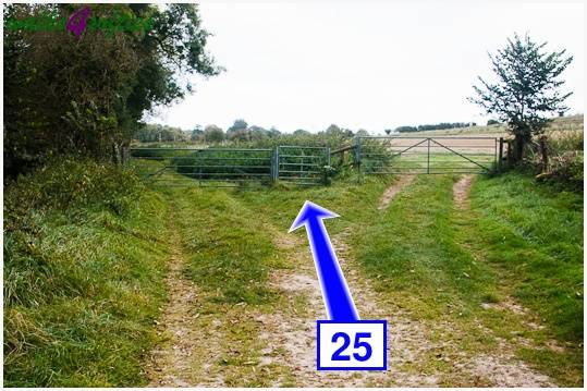 Walking direction photo: 25 for walk Tarrant Crawford, The Anchor @ Shapwick, Dorset.