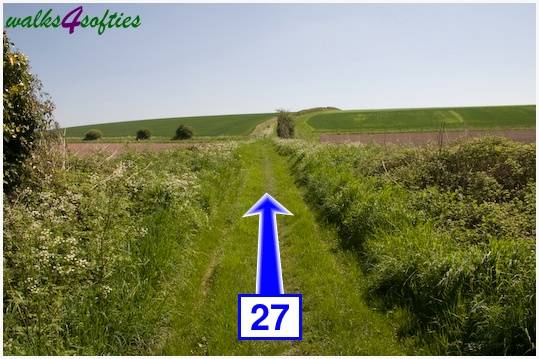 Walking direction photo: 27 for walk Tarrant Crawford, The Anchor @ Shapwick, Dorset.