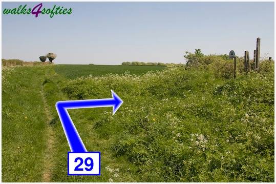 Walking direction photo: 29 for walk Tarrant Crawford, The Anchor @ Shapwick, Dorset.