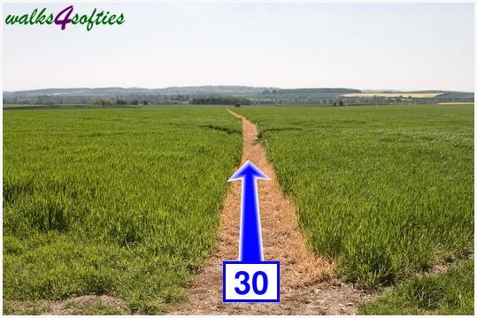 Walk direction photograph: 30 for walk Tarrant Crawford, The Anchor @ Shapwick, Dorset, South West England.