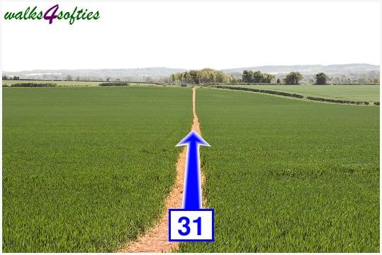 Walking direction photo: 31 for walk Tarrant Crawford, The Anchor @ Shapwick, Dorset.