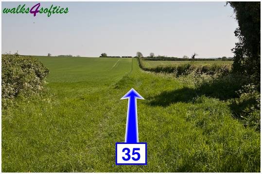 Walking direction photo: 35 for walk Tarrant Crawford, The Anchor @ Shapwick, Dorset.