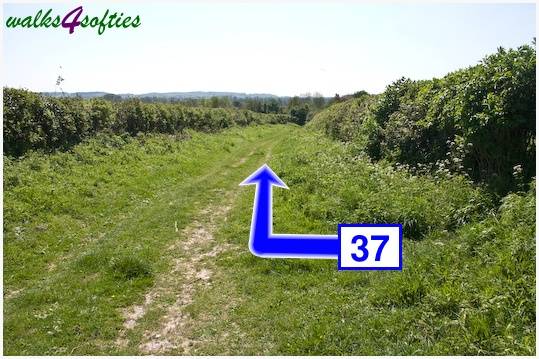 Walking direction photo: 37 for walk Tarrant Crawford, The Anchor @ Shapwick, Dorset.