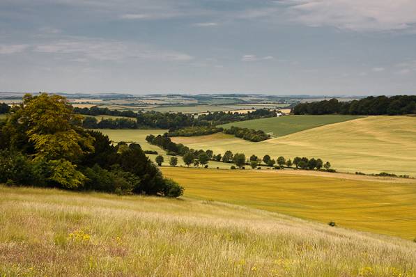 Picture, Photo, View of Farley Mount, Hampshire